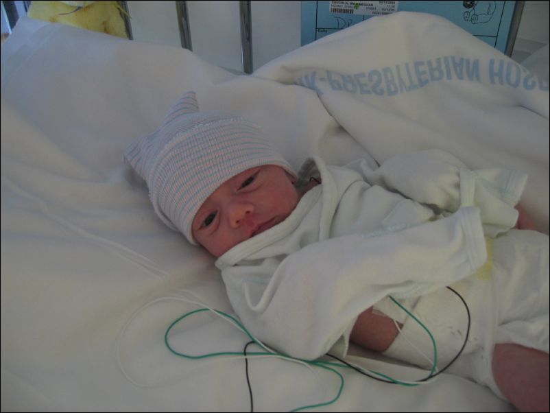 Owen bundled